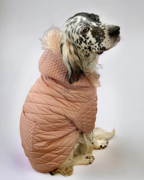 Pink Comfly Köpek Montu, Orta ve Büyük Irklar için - Resim 7