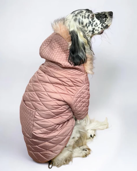 Pink Comfly Köpek Montu, Orta ve Büyük Irklar için - Resim 4