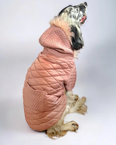 Pink Comfly Köpek Montu, Orta ve Büyük Irklar için