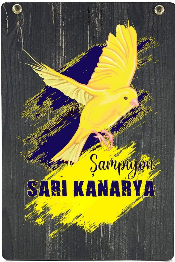 Fenerbahçe Orijinal Sıfır Yaka Beyaz T-Shirt Hediyelik Ahşap Kutulu - 3