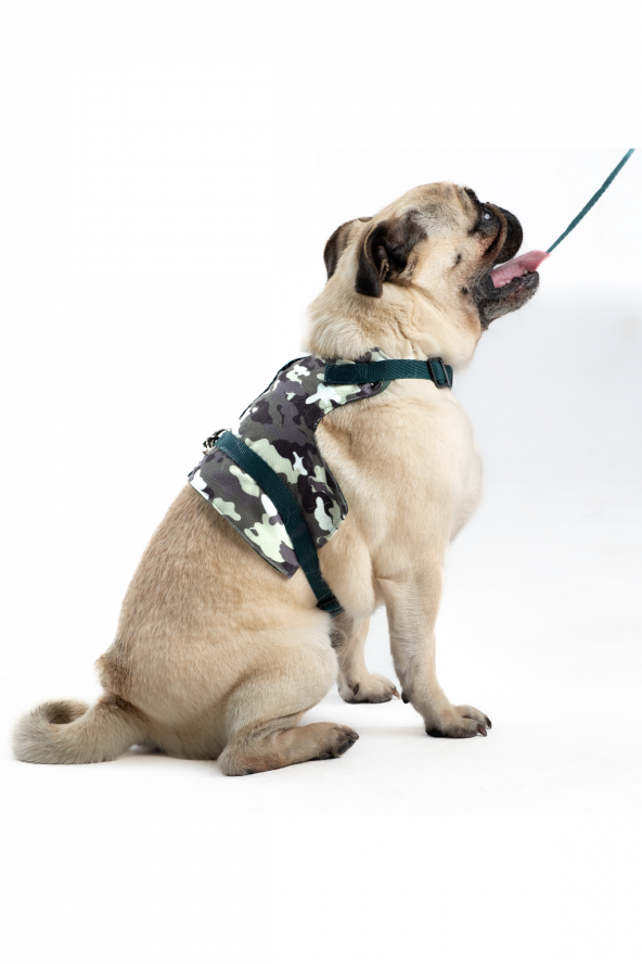 Kaçış Önleyici Ayarlanabilir Küçük Irk Köpek Göğüs Tasma Seti ve Gezdirme İpi