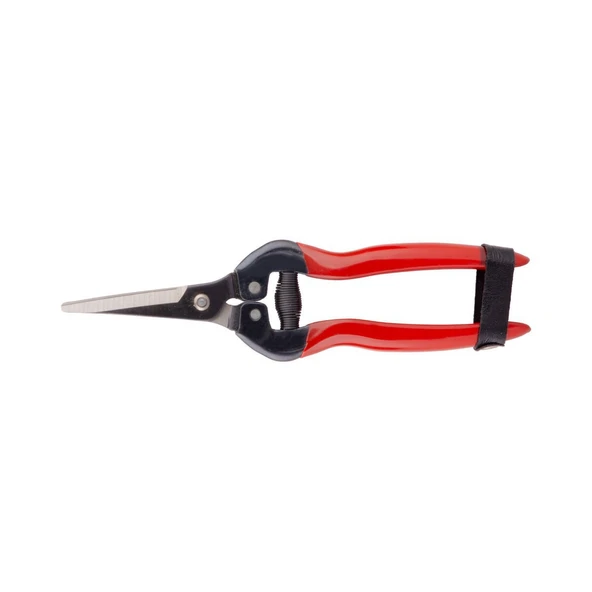 Palmera SP19 Meyve Toplama Makası ürün görseli