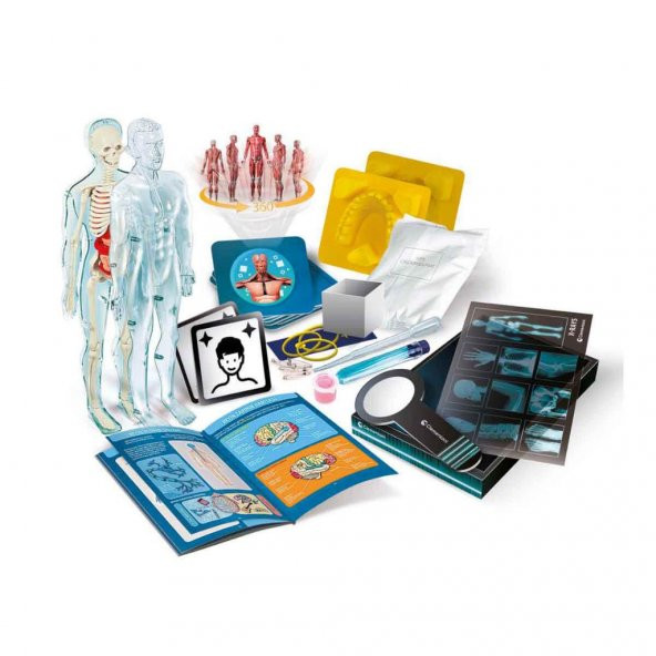 Clementoni Bilim ve Oyun Süper Anatomi 64474 - 3