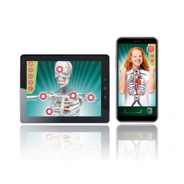 Clementoni Bilim ve Oyun Süper Anatomi 64474 - 4