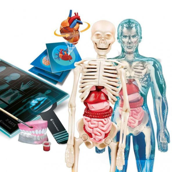 Clementoni Bilim ve Oyun Süper Anatomi 64474 - 5