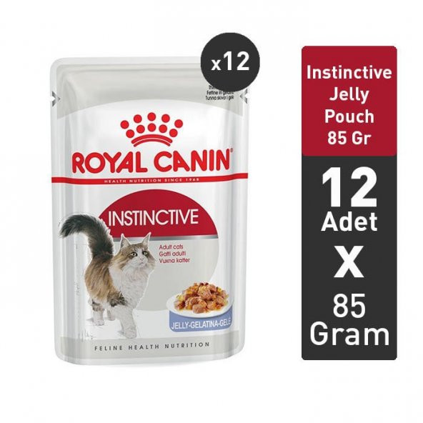 Royal Canin Instinctive Jelly Pouch 85 gr x 12 Adet