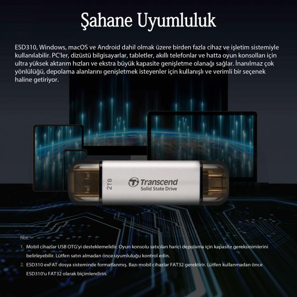 Transcend TS256GESD310C 256GB,USB/Type-C Taşınabilir Harici SSD Siyah - 3