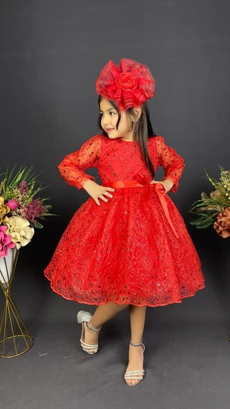 Pullu Simli Dantel Tokalı Kız Çocuk Abiye MNK0538 - Resim 5