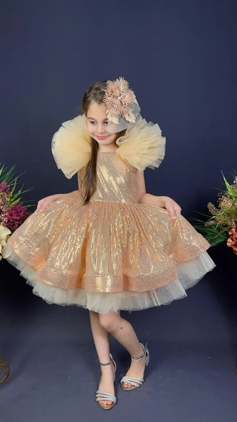 Tavus Kol Payetli Kumaş Kız Çocuk Elbise MNK0537 - Resim 9