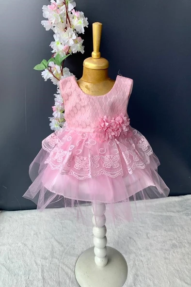Kat Dantelli Gül Motif Kız Bebek Elbise PNPN159 - 6