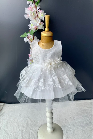 Kat Dantelli Gül Motif Kız Bebek Elbise PNPN159 - 3