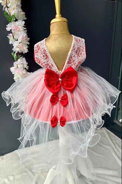 Sırt Fiyonklu Kız Bebek Mevlütlük Elbise PNPN147 - 6