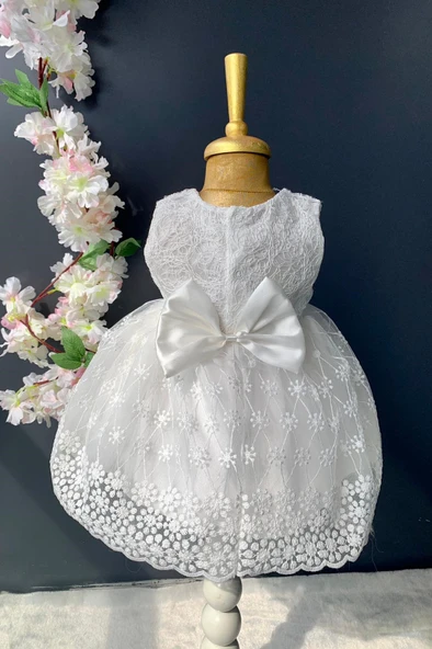 Dantelli Kız Bebek Elbise PNPN152 - 4