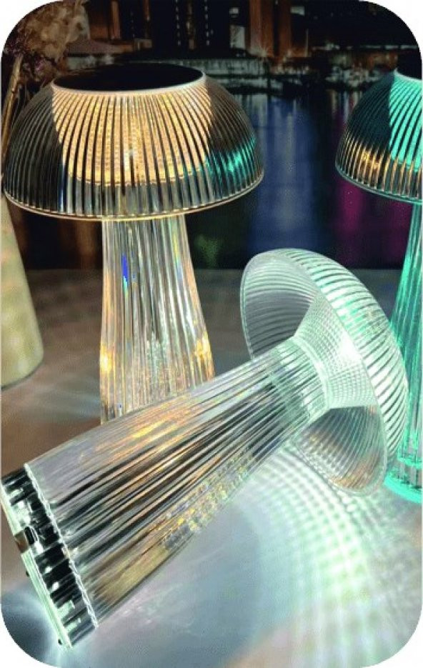 Helios Opto Şarjlı Dimlenebilir Üç Fonksiyonlu Dekoratif Masa Lambası HS 8104