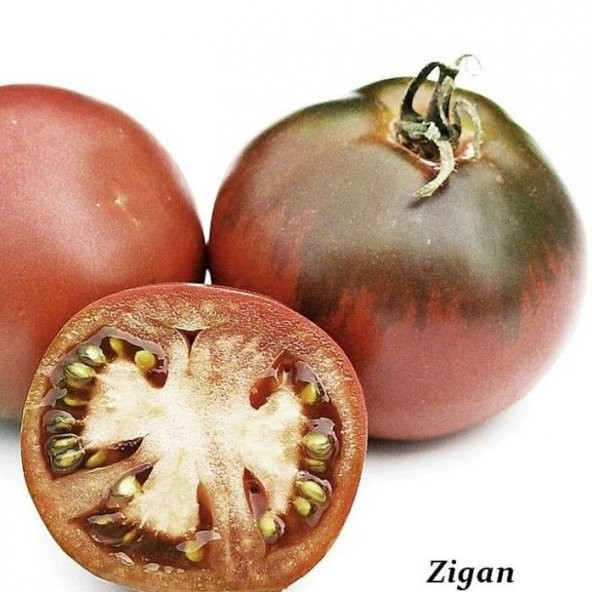Zigan Alacalı Etli Armut Domates Tohumu (15 tohum) - 4