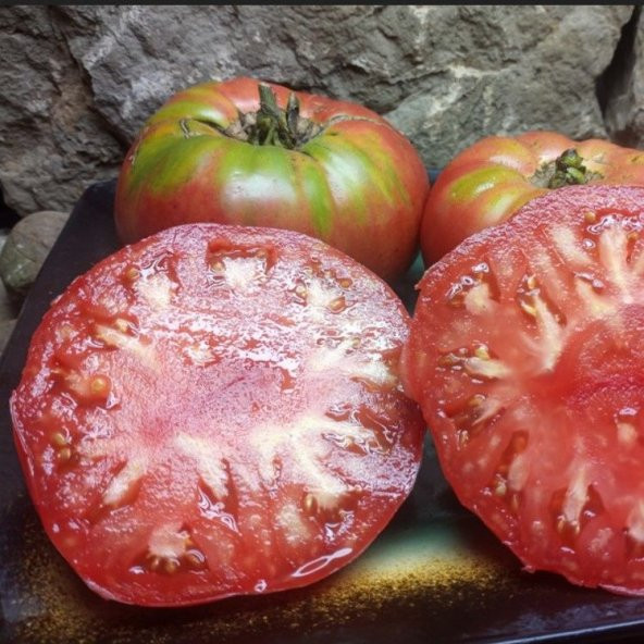 Olive Hill Etli Domates Tohumu (15 tohum) - 3