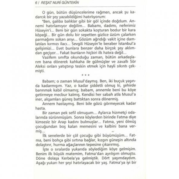 Çalıkuşu.Reşat Nuri Gültekin - 3