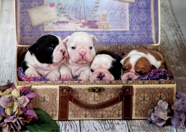Educa 500 Parça Kutuda Köpek Yavruları Puzzle