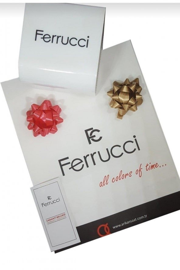 FC.03234S.01 Ferrucci Siyah Kadran Yeni Sezon Silikon Kordon 30 Mt Suya Dayanıklı Erkek Kol Saati - 2