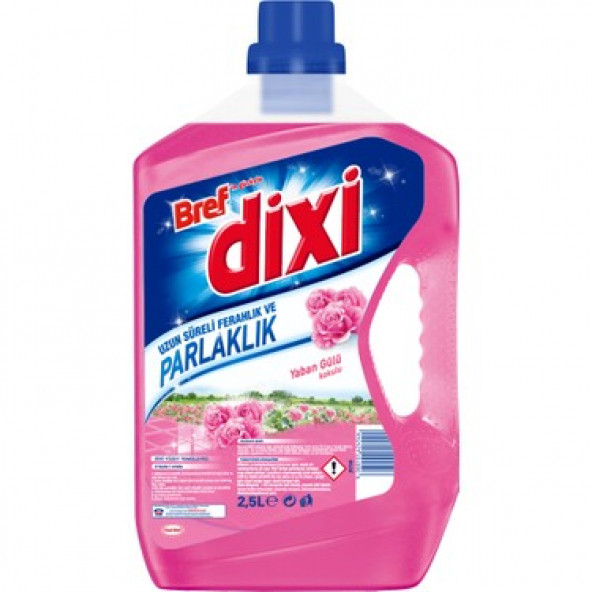 DİXİ 2,5 LT