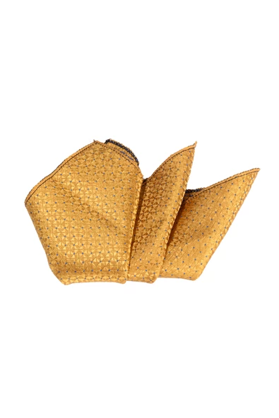 Cengiz İnler Kendinden Desenli Mendilli Mikrofiber Erkek Kravat - Resim 8