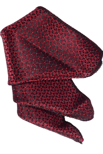 Cengiz İnler Kendinden Desenli Mendilli Mikrofiber Erkek Kravat - Resim 3