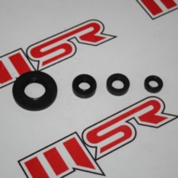 Tvs Apache Yağ Keçe 556656517 ürün görseli