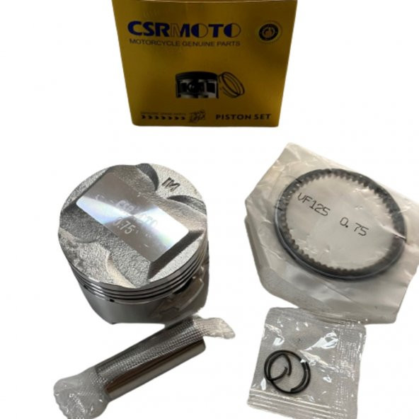 Piston Segman Gt250 100 Csr - 1
