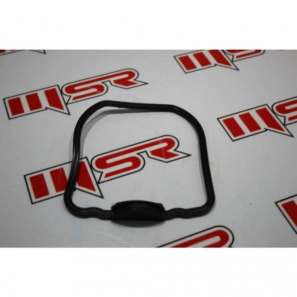 Sym Fıddle 2 125 X Pro 125 Oring