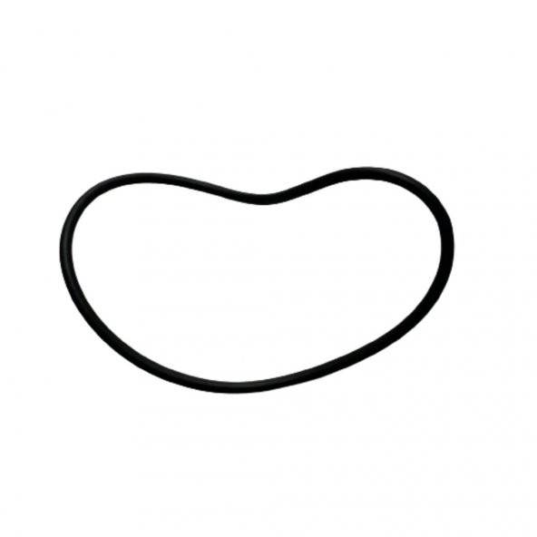 Hava Filtre Oringi R25 A (539373169) ürün görseli 1