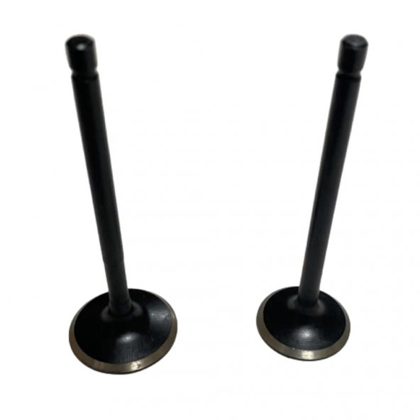 Supap Rtr Usha Tk (539352714)