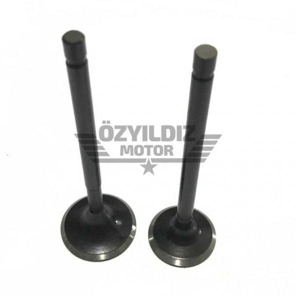 Supap Wego Usha Tk ürün görseli 1