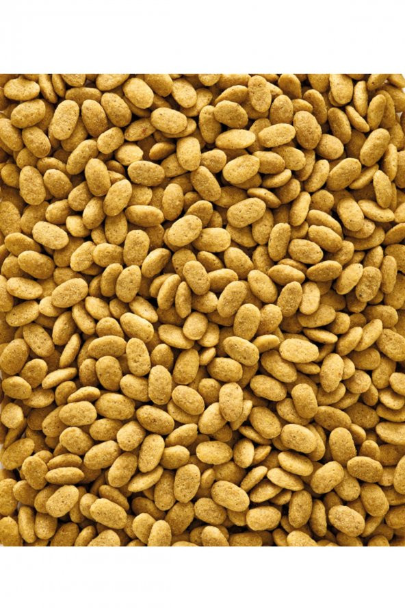 Nutribird P19 Original, Papağan Pelet Yem 500g (Deneme Paketi)