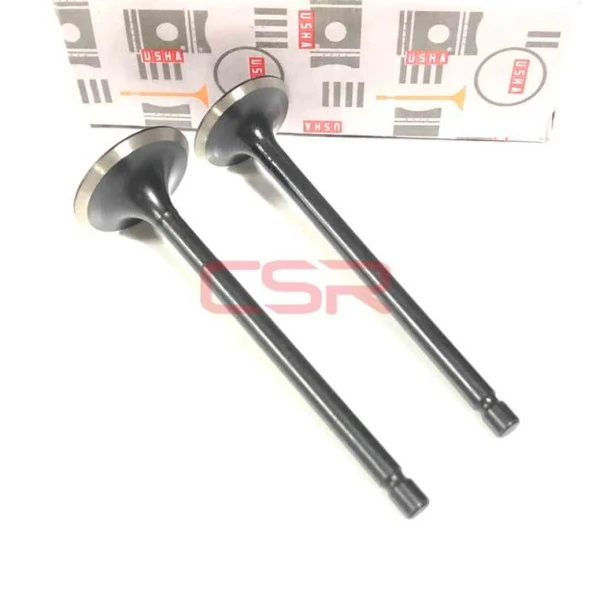 Supap An-125 Tk Usha