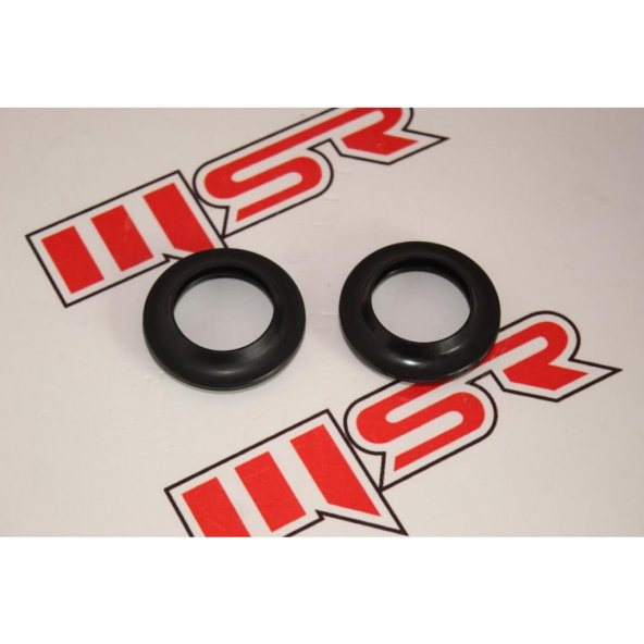 Xv 250 Toz Keçe Tk (538986681)