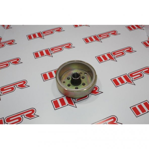 Cygnus L Rotor Oem (538969376) ürün görseli 1