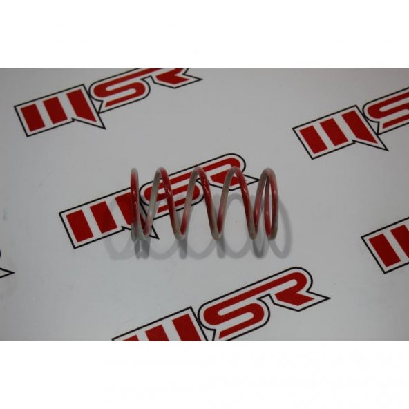 Polaris 1000 Varyatör Yayı (538968313) ürün görseli 1