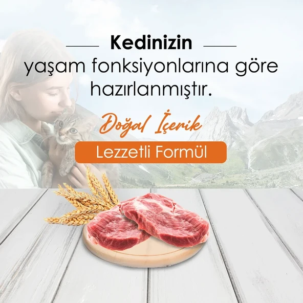 Mercy Kuzu Etli Yetişkin Köpek Maması 15 Kg - 2
