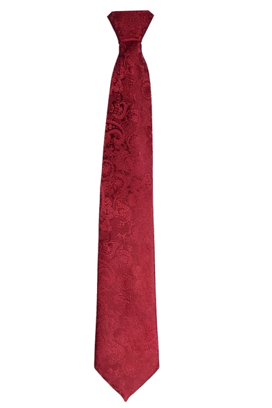 Cengiz İnler Jakarlı Şal Desenli Mendilli Mikrofiber Erkek Kravat - 6