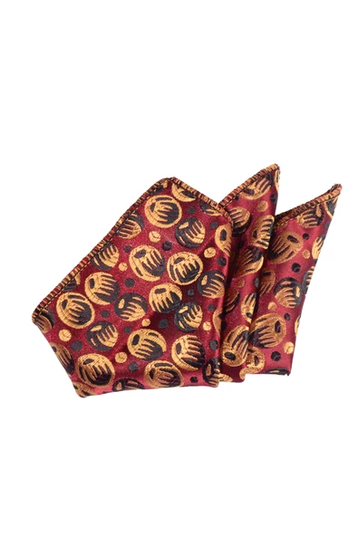 Cengiz İnler Daire Desenli Mendilli Mikrofiber Erkek Kravat - Resim 2