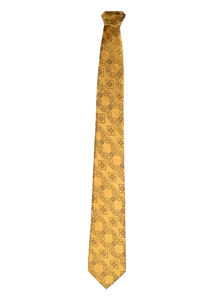 Cengiz İnler Geometrik Desenli Mendilli Mikrofiber Erkek Kravat - 7