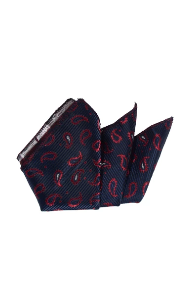 Cengiz İnler Şal Desenli Mendilli Mikrofiber Erkek Kravat - Resim 4