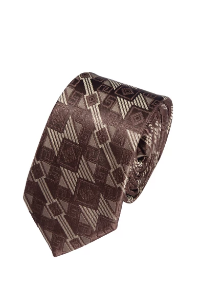 Cengiz İnler Geometrik Desenli Mendilli Mikrofiber Erkek Kravat - 6