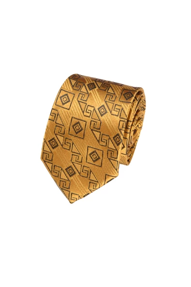 Cengiz İnler Geometrik Desenli Mendilli Mikrofiber Erkek Kravat - 9