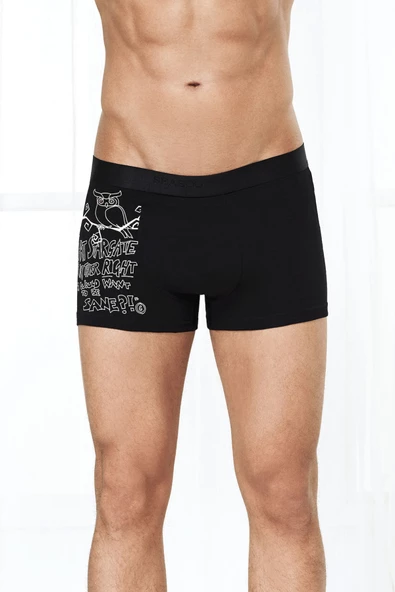 Antibakteriyel Erkek 3'lü Boxer - Resim 3