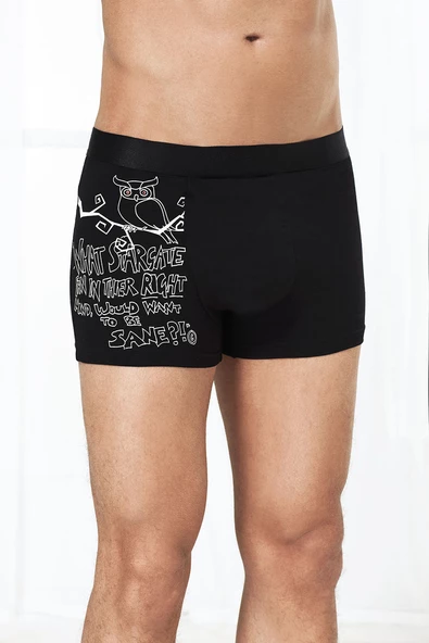 Antibakteriyel Erkek 3'lü Boxer - Resim 4