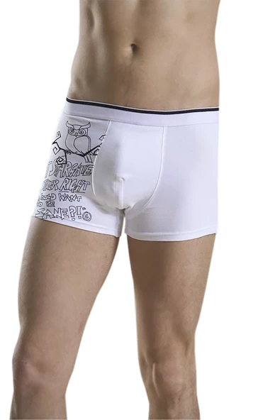 Antibakteriyel Erkek 3'lü Boxer ürün görseli