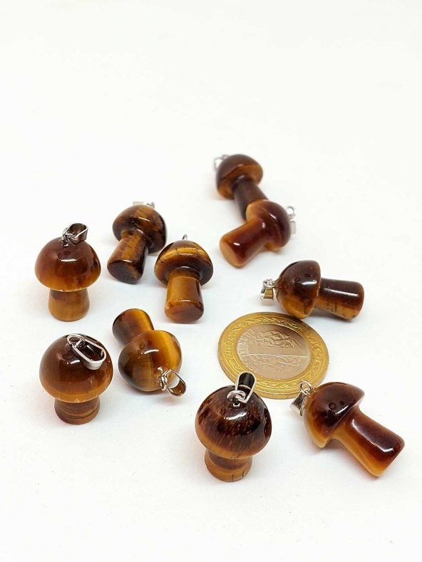 Kaplan Gözü Taşı Mantar Şekilli Kolye Ucu (42710) - Resim 2