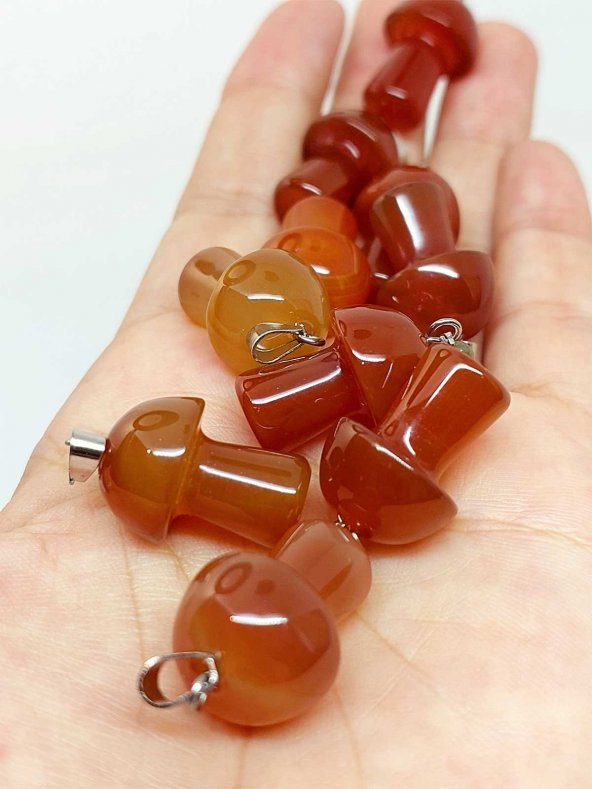 Akik Taşı Mantar Şekilli Kolye Ucu (42715) ürün görseli 1