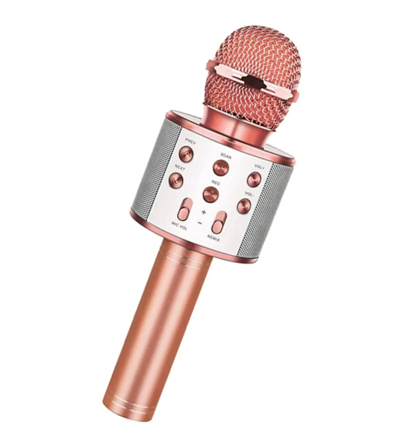 Bluetooth Karaoke Mikrofon (3791)